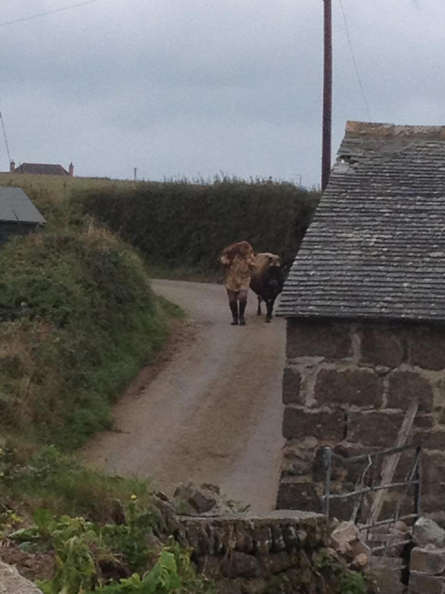 Trengothal Barn Porthcurno Exterior foto